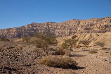 İsrail 'de Timna Vadisi denilen Arava çölünün bir kısmının taşları, dağlarını ve bitkilerini görmek