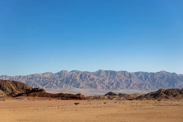 Pohled Park Timna Poušti Arava Izraeli Žluté Červené Hory Skalnatý Stock Snímky