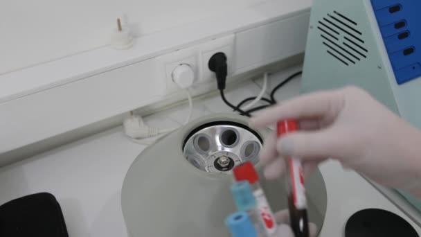 Las manos en guantes blancos ponen tubos de ensayo con sangre en la centrifugadora de laboratorio — Vídeos de Stock