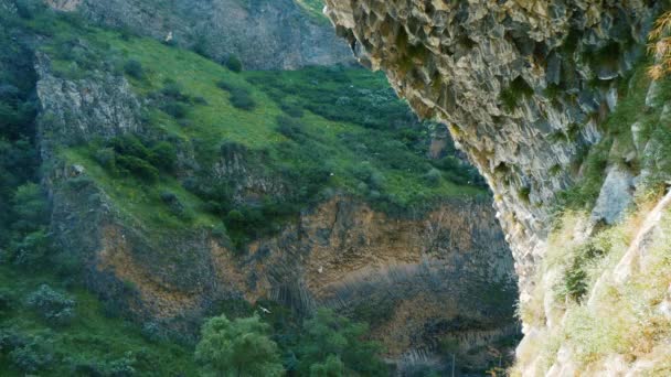Many birds fly near overhang of octagonal Garni rocks in Armenian mountains — Stock Video