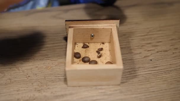 Dítě pečlivě sbírá kávová zrna a staví je do dřevěné krabice. Detailní záběr záběr — Stock video