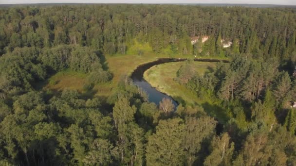 Rivière sinueuse coule à travers la forêt d'été. Des arbres verts sur les berges. Plan aérien — Video