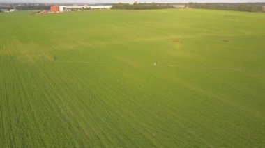 Yeşil tarım alanında küçük bir yolda yürüyen insanların havadan görünümü. Drone atış