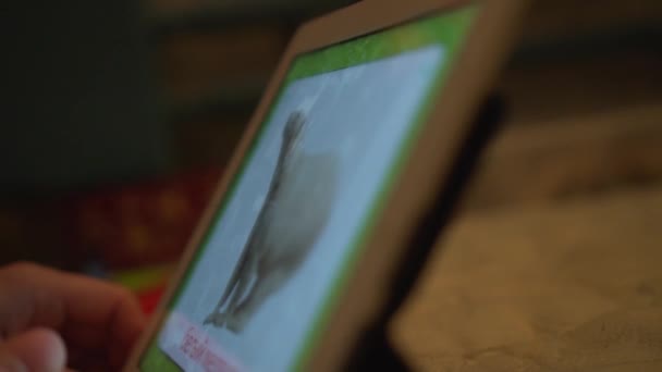 Close-up van baby hand aanraken van foto's van dieren op tablet scherm met de vinger — Stockvideo