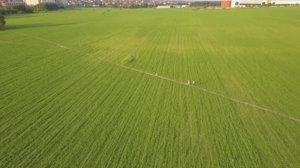 Vista aérea de pessoas caminhando em pequeno caminho no campo de agricultura verde. Drone disparado — Vídeo de Stock