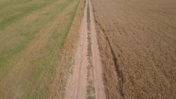 Luftaufnahme: Flug über schmutzige Straße zwischen landwirtschaftlichen Feldern — Stockvideo