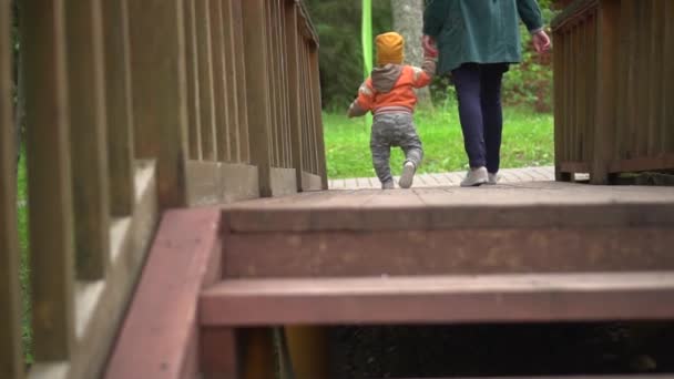 Mamma e bambino vanno su un ponte di legno tenendosi per mano. Colpo da vicino — Video Stock