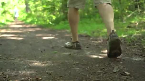 Man with backpack walks on dirty trail in a park. Camera moves from legs to head — Stock Video