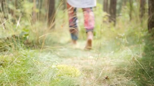 Femme pieds nus marche sur le chemin grincheux dans une forêt de pins. Gros plan des pieds et la fille devient floue — Video