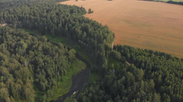 Floden flyter genom gröna skogen nära gul skördade gård fältet. Antenn skott — Stockvideo