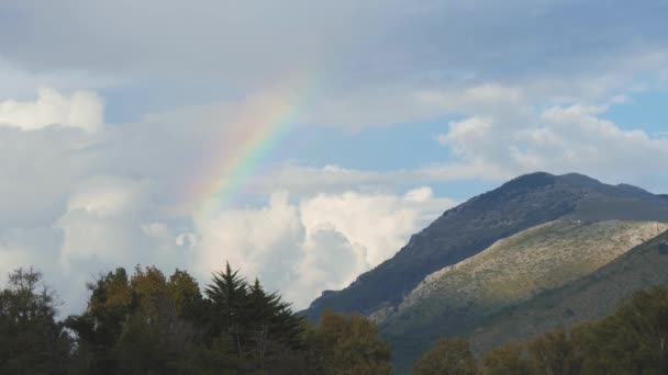 Arco-íris colorido sobre a floresta e montanha. Cúmulo nuvens no céu — Vídeo de Stock