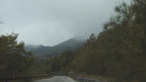 Jízdy po silnici mountaing mezi stromy. Zavřete šedé mraky na obloze. Akční snímek — Stock video