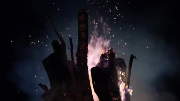 Silhouettes of campfire logs, fire flames and sparkles against dark sky. Low angle shot — Stock Video