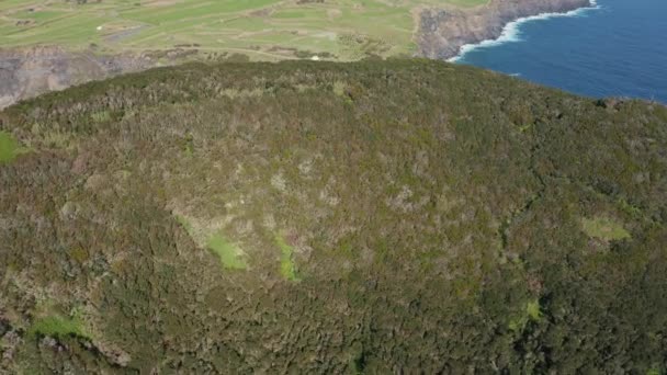 Forest on the top of big rock Castelo Branco. Isthmus between it and Faial island, Azores — Stock Video