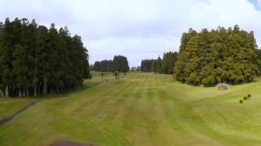 Golf sahasının üzerinde uçan yeşil ağaçlar ve palmiyeler. Yeşil çimlerde güneş ışığı ve bulut gölgeleri. San Miguel Havalimanı, Azores