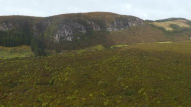 Yeşil ormanın üzerindeki kayalık uçurum. Doğa rezervi Recreio da Serreta. Terceira Havalimanı, Azores