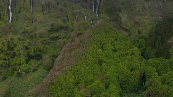 Grüne Wälder, Wasserfälle und Wolken auf dem Gipfel des steilen Berges. Antenne von ferreiro, flores, azores — Stockvideo