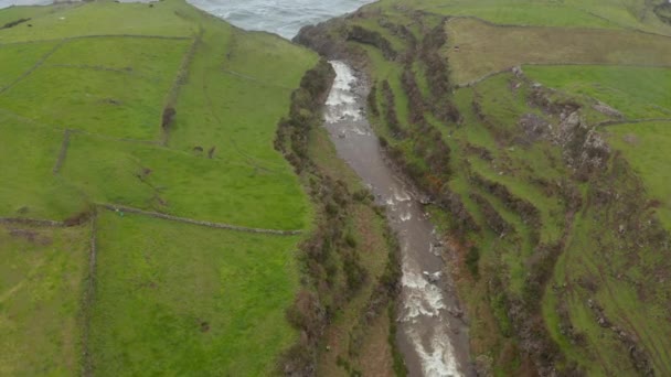 Rivier in kloof tussen groene velden valt als waterval in de zee. Luchtfoto van San Miguel, Azoren — Stockvideo