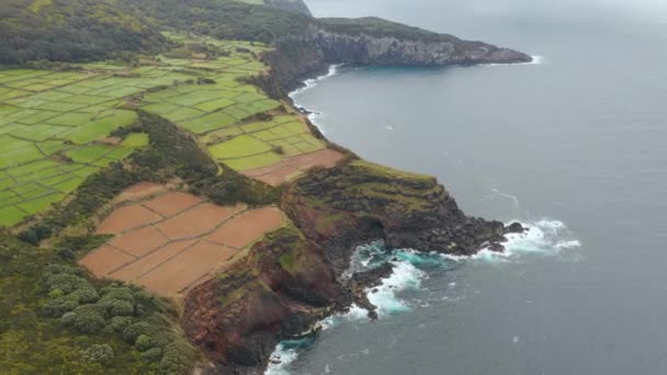 Divided meadows and rocky cliff. Ocean waves wash stones on a shore. Aerial of Terceira, Azores — Stock Video