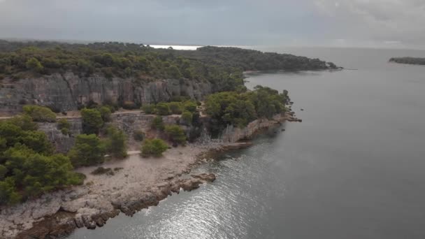 Antigua cantera en rocas en la orilla del mar. Park forest Zlatni Rt en Rovinj, Croacia. Disparo aéreo — Vídeo de stock