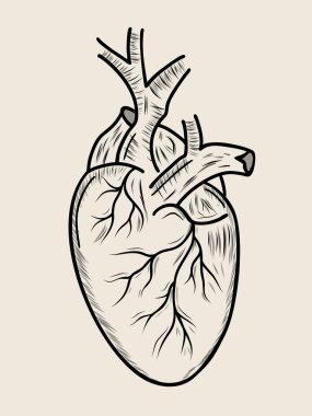 Gerçekçi kalp simgesi bej arka planda izole edilmiş. Vektör tıbbi kalp logosu. İnsan kalbi çizgisi. El çizimi