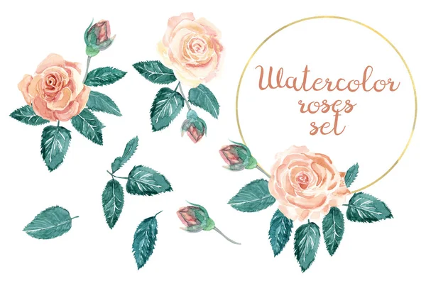 Akvarell Kompozíciók Levelek Rózsák Virágbimbók Bézs Zöld Színek Elszigetelt Fehér — Stock Fotó