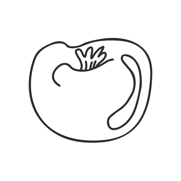 Ilustração Vetorial Desenhada Mão Tinta Preta Sobre Fundo Branco Tomate — Vetor de Stock