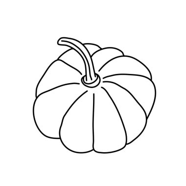 Karalama tarzında balkabağı ya da kabak. İzole edilmiş dış hat. Beyaz arka planda siyah mürekkeple el çizimi vektör çizimi. Boyama kitapları için harika. Çiftlik bahçesi teması.