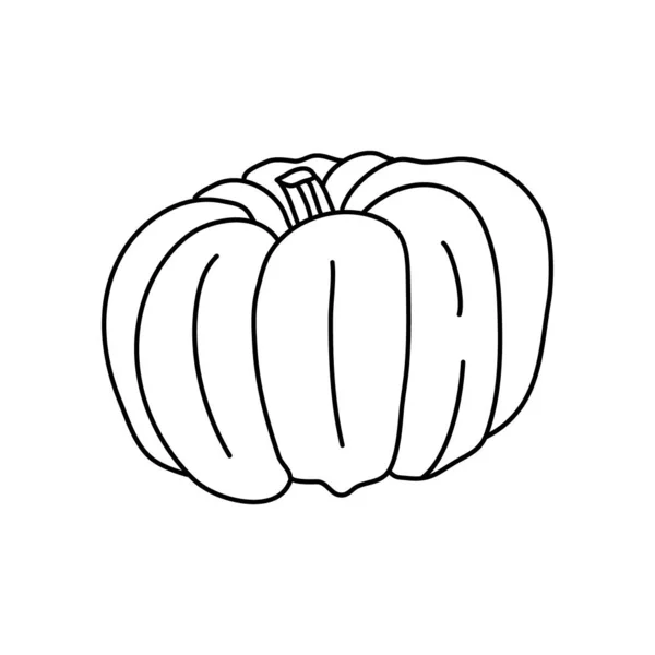 Pumpkin 스쿼시 Squash 스타일이다 윤곽이군 손으로 일러스트는 잉크로 배경에 그려졌다 — 스톡 벡터