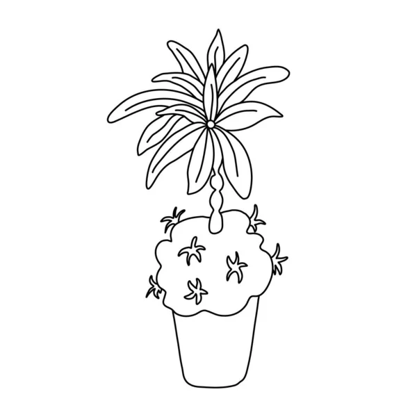 Cacto Florescente Com Uma Bela Flor Grande Estilo Doodle Planta —  Vetores de Stock