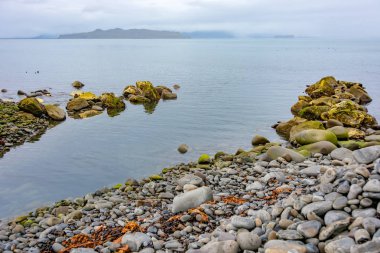 Dramatik kumsalda Skagafjordur, mavi saat gün batımı sırasında North Iceland'deki / siyah çakıl, yeşil çim ve lagünler