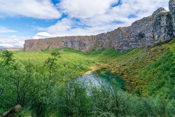 Canyon Asbyrgi Raquettes Cheval Dans Parc National Jokulsargljufur Diamond Circle — Photo