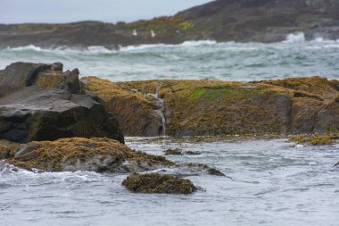 Stokksnes lagün, siyah kum plaj, okyanus ve Dağları Güneydoğu İzlanda'dan göster
