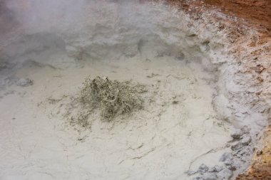 Altın daire İzlanda'nın Reykjavik yakınındaki Hengilssvaedid kaplıcalar çamur havuzları.