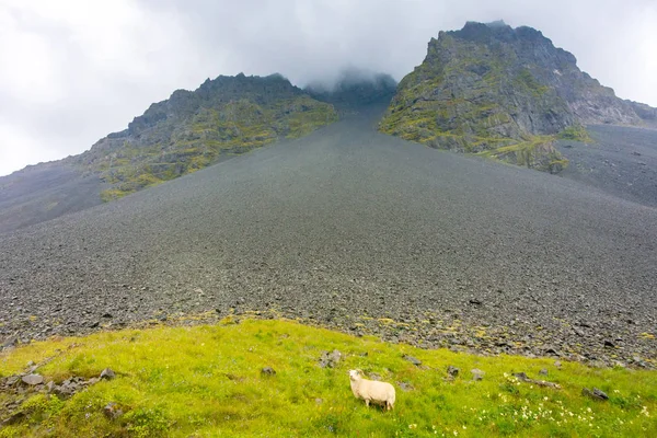 Vista Desde Laguna Stokksnes Playa Arena Negra Océano Montañas Sureste — Foto de Stock