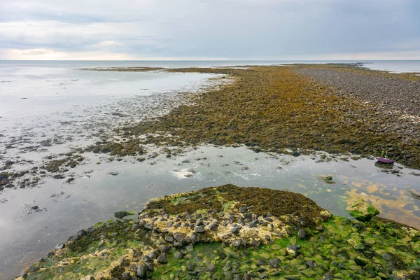 Reykjanensviti Deniz Feneri Plaj Reykjanensviti Reykjavik Keflavik Reykjanes Yarımadası Hizmet — Stok fotoğraf