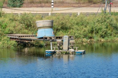 İsrail'de balık yetiştiriciliği havuzları ve göç eden kuşlar