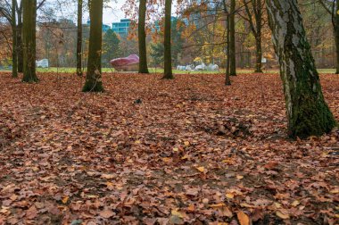 Sonbahar yaprakları ile Belin Beutiful Tiergarten Park
