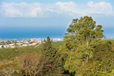 Kuzey İsrail'de Carmel Moutains, orman ve Celile