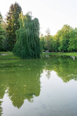  Salzburg, Avusturya Lehener Parkı