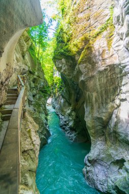 Yukarı Avusturya'nın Salzkammergut bölgesindeki Lammerklamm Geçidi