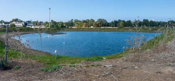 Fischteiche und Zugvögel in Island — Stockfoto