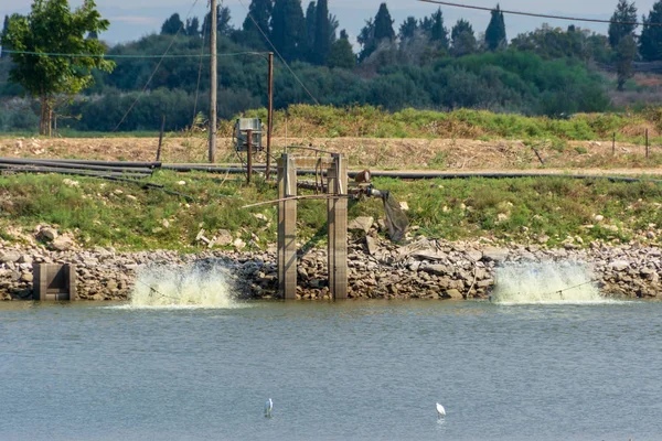 Fish growing ponds and migrating birds in Israel — Stock Photo, Image