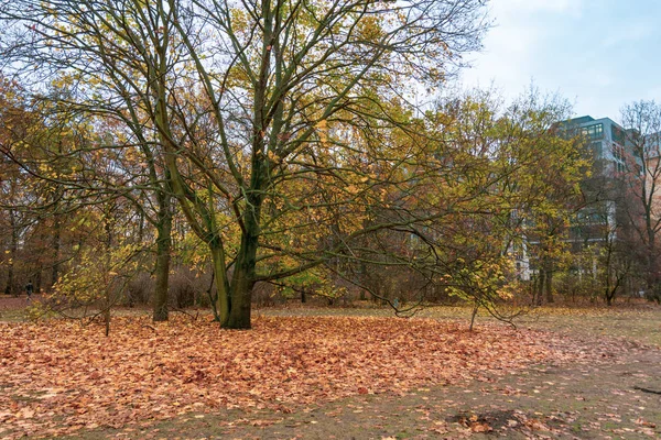 Bellissimo Tiergarten Park a Belin con fogliame autunnale — Foto Stock