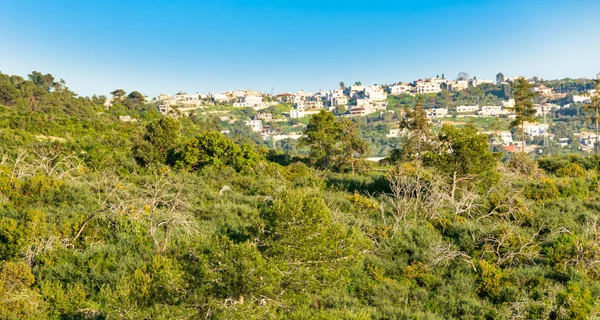 Karmel Moutejny, lesní les a Galilea v severním Izraeli — Stock fotografie