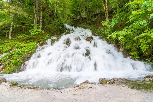 Озеро Гонау (Gosausee) в австрійському озері — стокове фото