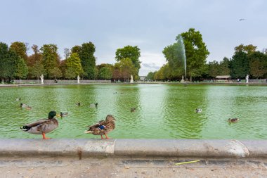 Paris'in merkezindeki Tuileries Bahçeleri
