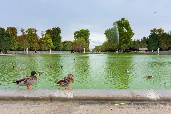 Giardini delle Tuileries nel centro di Parigi — Foto Stock