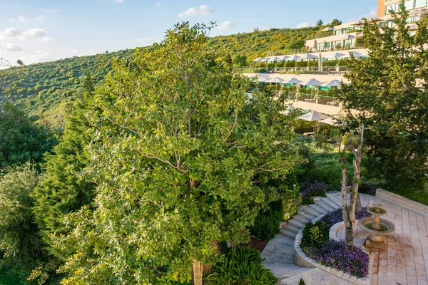 Beroemde Carmel Forest Resort in de Galillee, Israek — Stockfoto