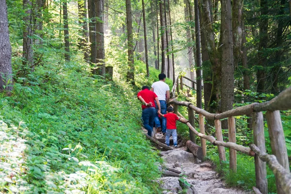 Rodzinny Touring wodospad Gollinder w Austrii — Zdjęcie stockowe